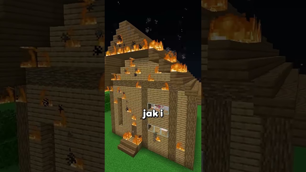 Miniatura SHOTY Z YCIA